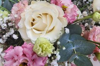 Il Laboratorio Fiorito - 14