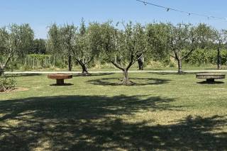 Tenuta del Tempio Antico - 5