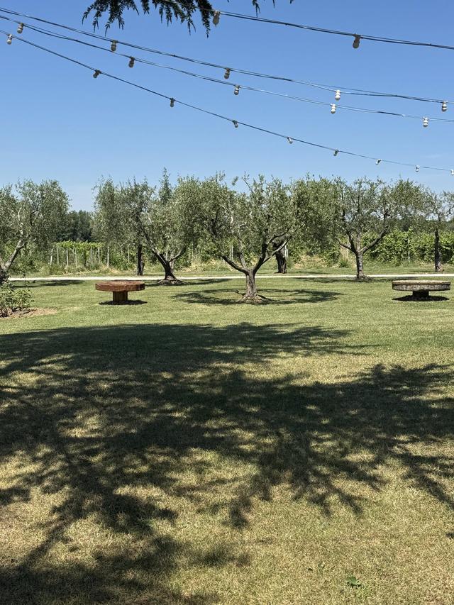 Tenuta del Tempio Antico - 2