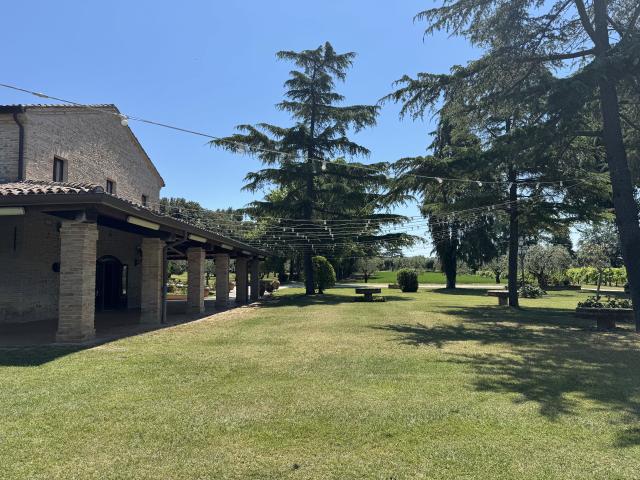 Tenuta del Tempio Antico - 1