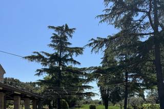 Tenuta del Tempio Antico - 7
