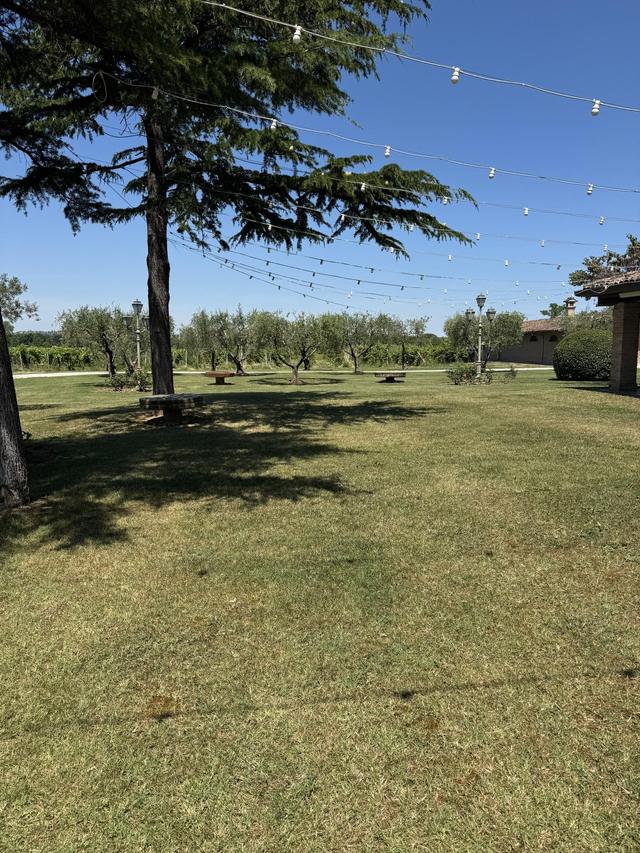 Tenuta del Tempio Antico - 3