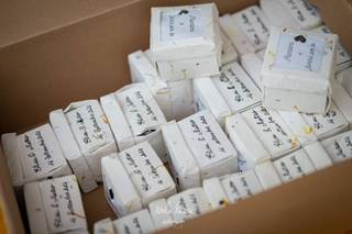 La Casa di Tania - 3