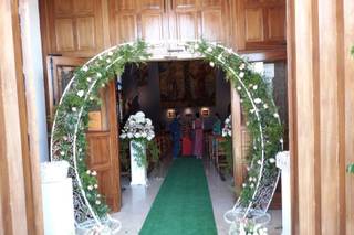 Firetto Piante e Fiori - 8