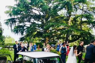 Italiana Noleggi - 7