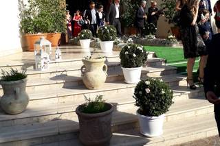 Firetto Piante e Fiori - 10