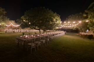 Villa Barone Alfieri - 14