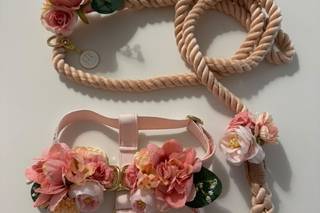 BowPawTie Accessori per Cani - 10