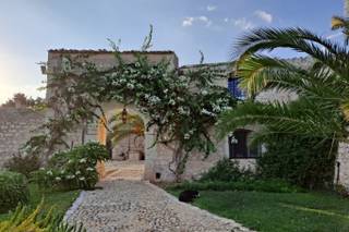 Villa Barone Alfieri - 16