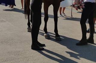 Nuova Zavalon Olbia - 16