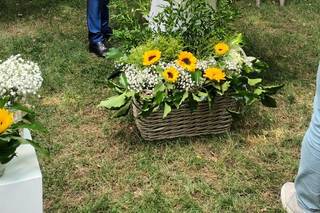 Pasticceria Chocolat - 14