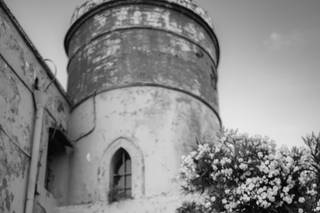 Sasko Imaginative - 1