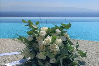 D'Arrigo Fiori - 7