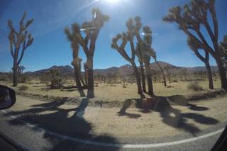 Zinica Viaggi Snc - 11