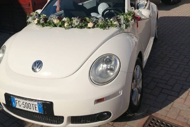 Ivan New Beetle 4