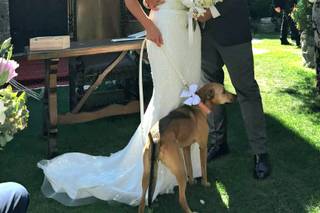 Castello Rocca dei Cavalieri - 18