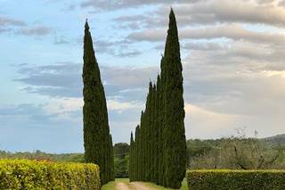 Villa S. Andrea - 10