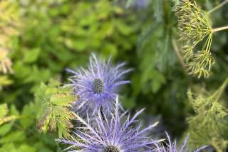 Aldiladeisogni Viaggi Ciampino - 7