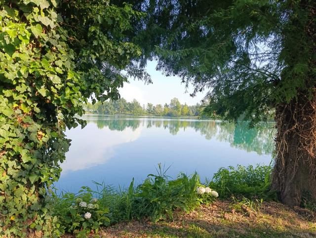 Cascina Boscaccio - 4