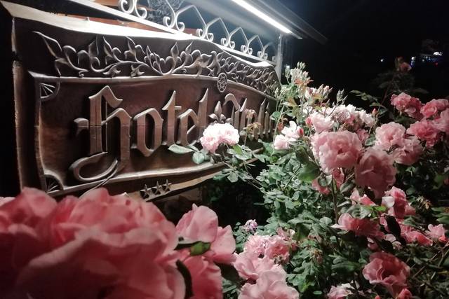 Hotel Italia - Ristorante Berta 2