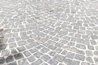 Pensiero Fiorito - 5
