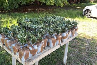 Home & Garden - 12
