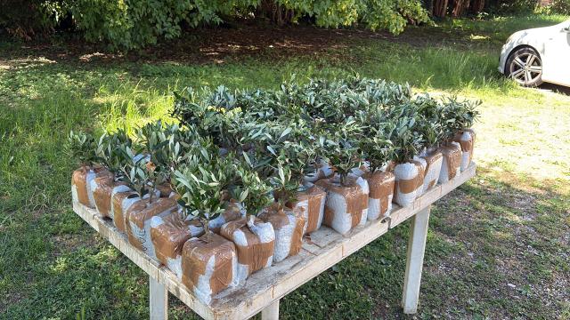 Home & Garden - 4
