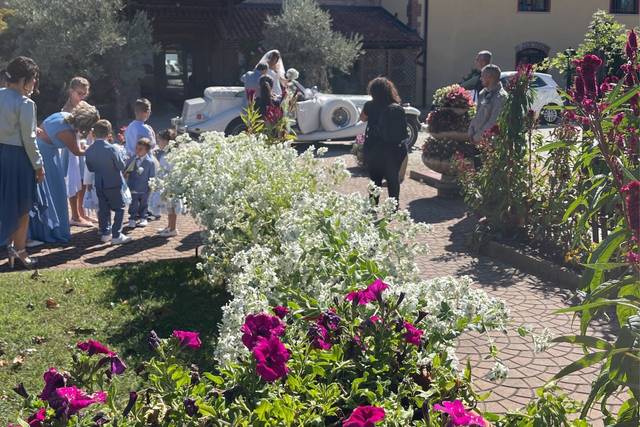 Tenuta Canta 3