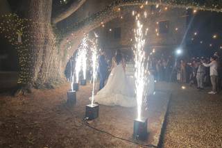 Just Magic Eventi - 12