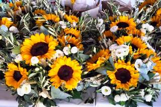 Bianchi Fiori e Piante - 14