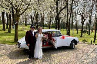 Iris Limousine - 29