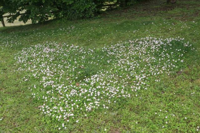 Agriturismo Rosaspina - 4