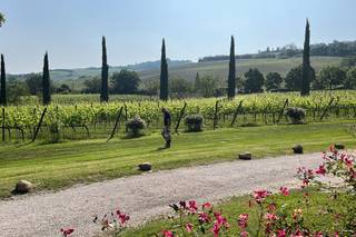 Tenuta Santi Giacomo e Filippo - 13