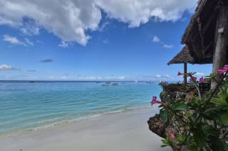 Liliana Zaninelli - Travel Agent - 7