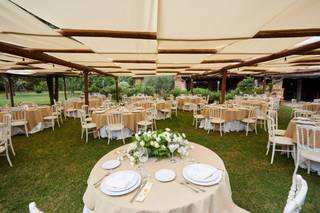 L'Orchidea di Spurio Massimiliano - 10