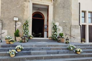 Fioreria il Pothos - 18