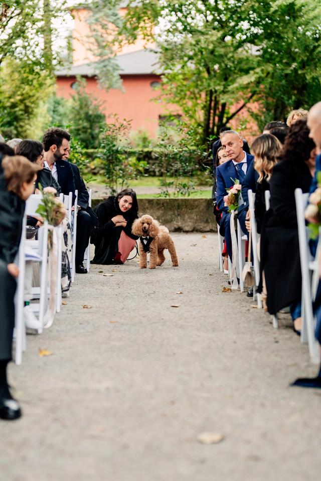 Raffaella Gallo Pet Coach - 2