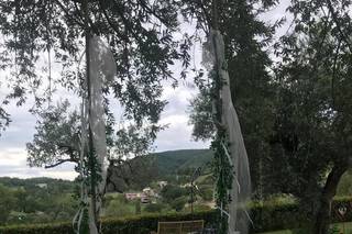FiordaLizzy - 7