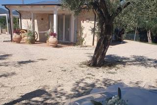 Adamcar Noleggio Auto d'Epoca - 5