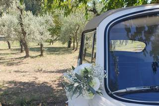 Adamcar Noleggio Auto d'Epoca - 6