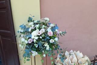 Il Fiore di Maynard Maria Veronica - 5