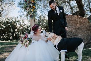 Alessio Nobili Photographer - 28