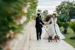 Matteo Picarella - 15