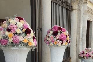 Fiorista Giacinto - 20