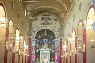 Fiori & Co di stefano marini - 10