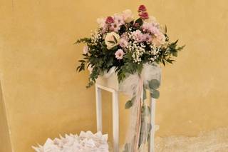 Rosa Bianca - 12