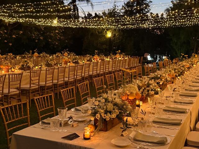Maiolgae Eventi - 1