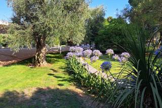 Villa Ciccorosella - 5