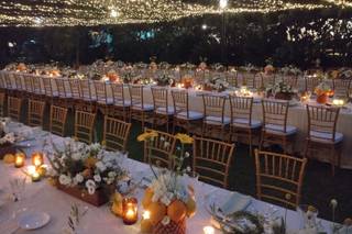 Maiolgae Eventi - 6