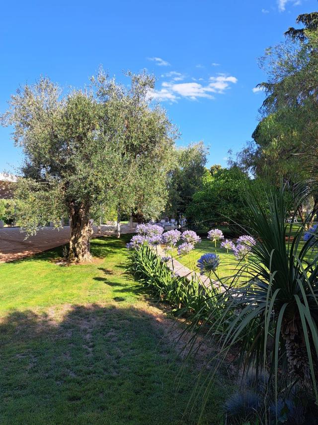 Villa Ciccorosella - 2